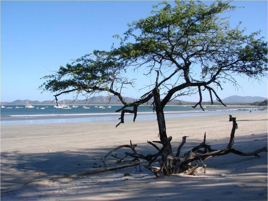 Jet Luxury At Langosta Beach Resort & Villas Tamarindo Buitenkant foto